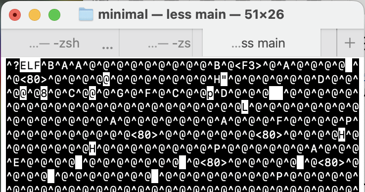 What the ELF main file looks like to a text editor.  Note the ELF string.